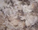 merino fleece.webp