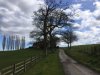 Cotswold Way - Cleeve Hill 3.jpg