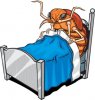 bed-bug-cartoon.jpg