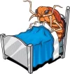 bed-bug-cartoon.webp