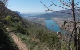 008-07 Looking down on the River Rhone.webp