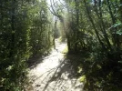 008-05 The Way up Mont Tournier.webp