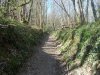 009-03 A beautiful sunken lane on the way to St. Genix sur Guires.JPG