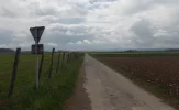 012-03 The long straight road to La Cote St. Andre on a hot overcast day..webp