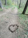 018-12 Heart in the woods.webp