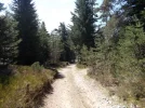 019-08 Track through the Foret de Tallard towards Les Setoux.webp