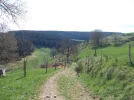 019-20 The Way towards Montfaucon en Velay.webp