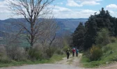 025-13 Cathy and other Pilgrims finish the killer climb out of Monistrol d'Allier.webp