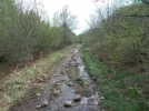 029-37 The Way towards Belvezet.webp