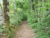 030-15 A white and red GR sign shows The Way towards La Roziere.JPG