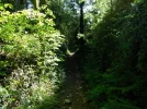 035-37 The beautiful but steep descent into Conques.webp