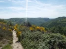 037-11 The Way above Conques.webp