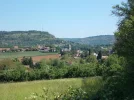 043-02 Looking back on Gaillac.webp