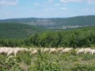 043-06 The view on the way towards St. Jean de Laur.webp