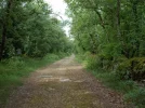 045-01 The Way towards Varaire.webp