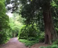 Botanical Garden at UBC.webp