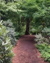 Botanical Garden.webp