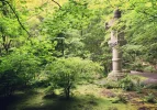 Nitobe Garden.jpg