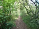 046-02 The Way towards Cahors.webp