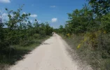 048-01 Pilgrims on The Way to Lascabanes.webp