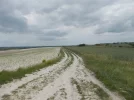 048-07 The dusty road towards Montcuq.webp