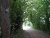 057-06 A colourful scallop shell points the way towards Chapelle de Routges.JPG