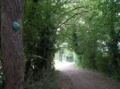 057-06 A colourful scallop shell points the way towards Chapelle de Routges.webp