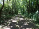 058-19 The Way is an old railway line to Eauze. This is where I met Tsujimoto.webp