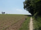 059-14 The Way towards Le Haget.webp