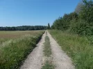 060-06 The Way towards Lanne-Soubrian.webp