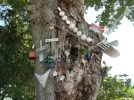 063-09 A tree decorated by pilgrimas at Vignes.webp