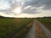 064-28 Long hot straight road to Chapelle Notre-Dame de Muret.JPG