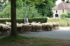 065-13 Farmer with his sheep in Meritain.JPG