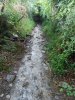 067-33 The waterlogged path into lower Ostabat.JPG