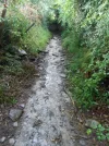 067-33 The waterlogged path into lower Ostabat.webp