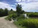 Reifel slough trail.webp