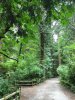 Lighthouse Park Entrance.jpg