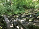 wood bridge.webp