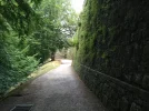 Some Camino Shots - 2 of 14.webp