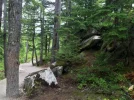 Panorama Trail.webp