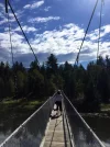 Zuckerberg Suspension Bridge.webp