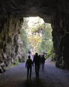 Othello Quintette Tunnels 2.webp