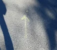 yellow arrow on hillcrest.webp