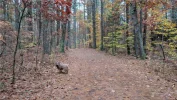 new-england-autumn.webp