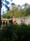 cloister garden.webp