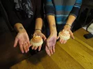 Jamie & Keri's shells and tats copy.webp