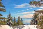 Tahoe scene.webp