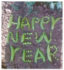 Happy New Year - Peas on earth.png