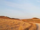 Meseta road.webp