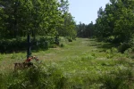 Way of the Cross at Monte Faro.webp